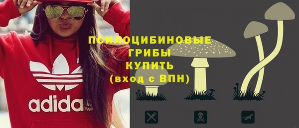 2c-b Богородицк
