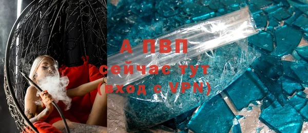 spice Богданович
