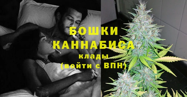 spice Богданович