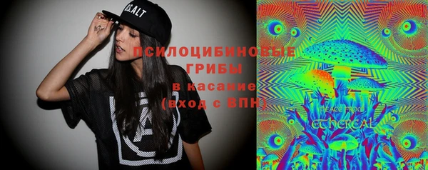 2c-b Богородицк