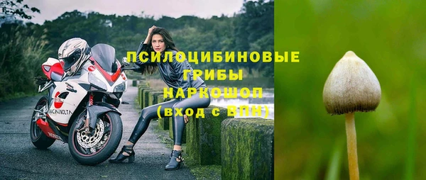 стафф Видное