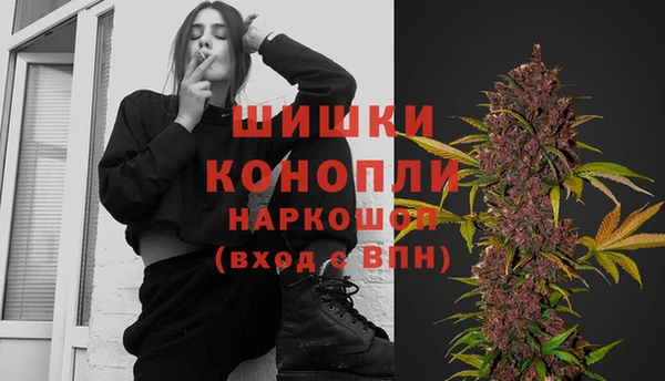 spice Богданович
