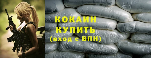 spice Богданович
